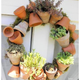 Illustration for article titled 20 Inspiring Flower Planters That Will Bring The Magic Into Your Garden